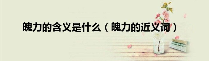魄力的含义是什么（魄力的近义词）