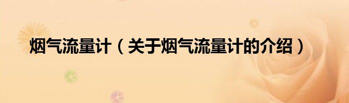 烟气流量计（关于烟气流量计的介绍）