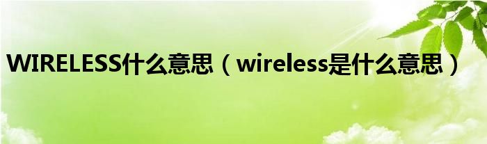 WIRELESS什么意思(wireless是什么意思)