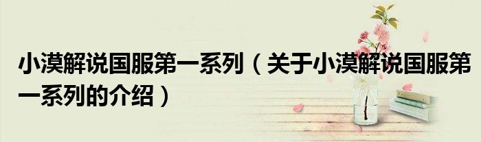 小漠解说国服第一系列(关于小漠解说国服第一系列的介绍)