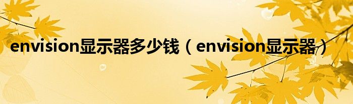 envision显示器多少钱（envision显示器）