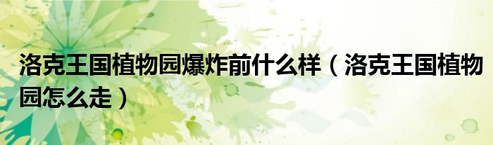 洛克王国植物园爆炸前什么样(洛克王国植物园怎么走)