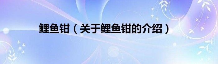 鲤鱼钳（关于鲤鱼钳的介绍）