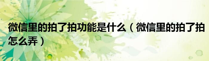 微信里的拍了拍功能是什么（微信里的拍了拍怎么弄）