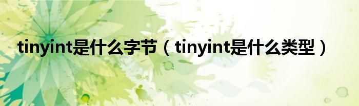 tinyint是什么字节(tinyint是什么类型)
