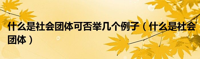 什么是社会团体可否举几个例子（什么是社会团体）
