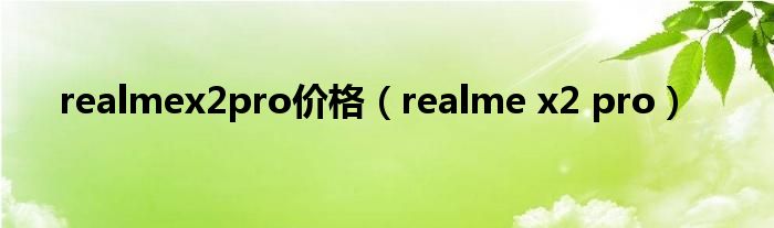 realmex2pro价格（realme x2 pro）