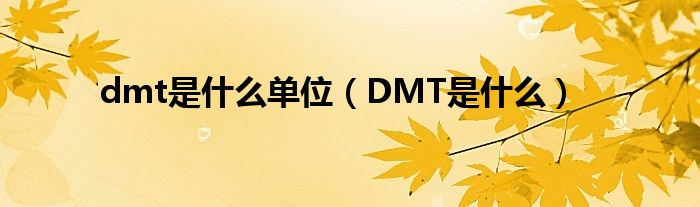 dmt是什么单位(DMT是什么)