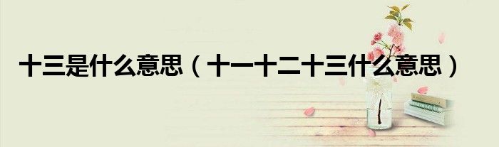 十三是什么意思（十一十二十三什么意思）