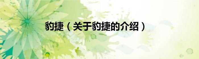 豹捷（关于豹捷的介绍）