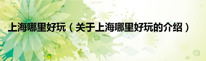 上海哪里好玩（关于上海哪里好玩的介绍）