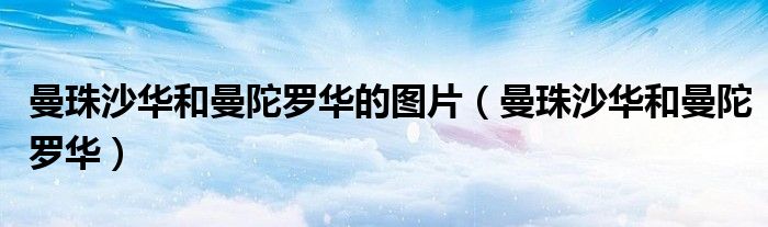 曼珠沙华和曼陀罗华的图片（曼珠沙华和曼陀罗华）