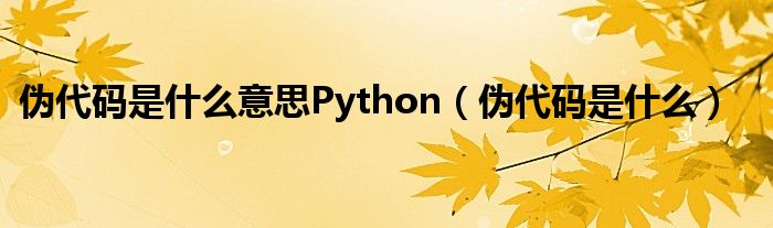 伪代码是什么意思Python(伪代码是什么)