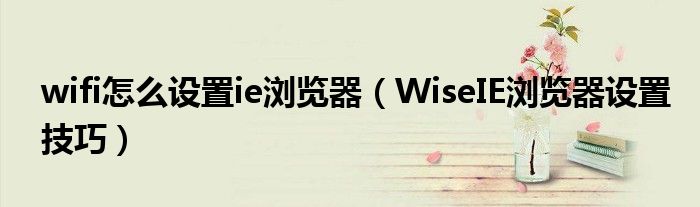 wifi怎么设置ie浏览器（WiseIE浏览器设置技巧）