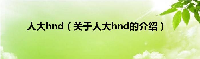 人大hnd（关于人大hnd的介绍）