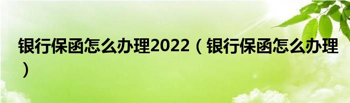 银行保函怎么办理2022（银行保函怎么办理）