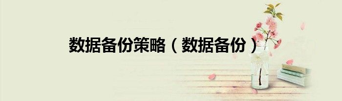 数据备份策略（数据备份）