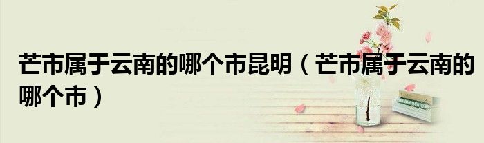 芒市属于云南的哪个市昆明（芒市属于云南的哪个市）