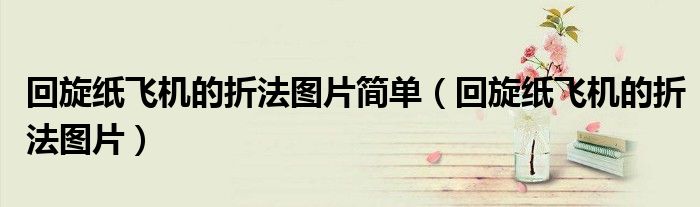 回旋纸飞机的折法图片简单（回旋纸飞机的折法图片）
