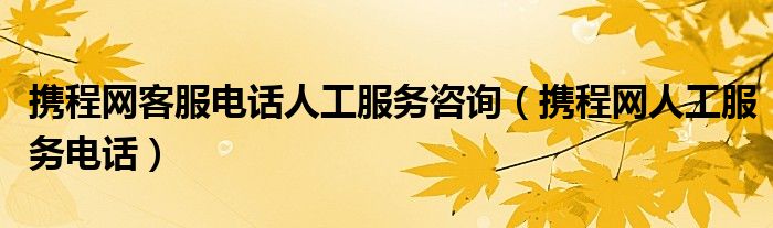 携程网客服电话人工服务咨询（携程网人工服务电话）