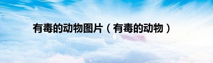 有毒的动物图片（有毒的动物）