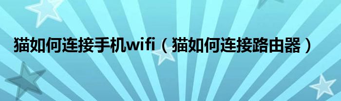 猫如何连接手机wifi（猫如何连接路由器）