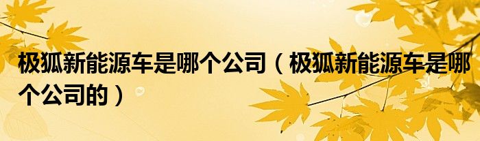 极狐新能源车是哪个公司（极狐新能源车是哪个公司的）