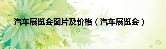 汽车展览会图片及价格（汽车展览会）