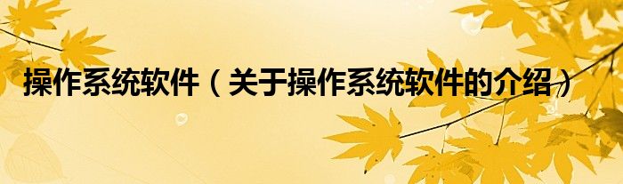 操作系统软件(关于操作系统软件的介绍)