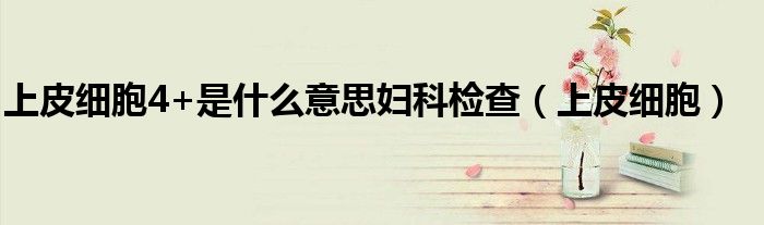 上皮细胞4+是什么意思妇科检查(上皮细胞)