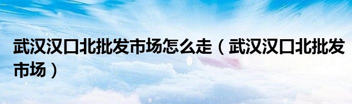 武汉汉口北批发市场怎么走（武汉汉口北批发市场）