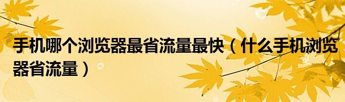 手机哪个浏览器最省流量最快（什么手机浏览器省流量）