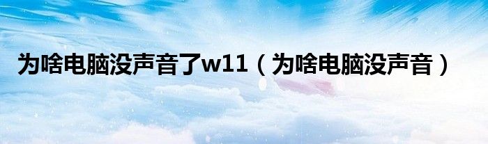 为啥电脑没声音了w11(为啥电脑没声音)