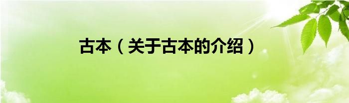 古本（关于古本的介绍）