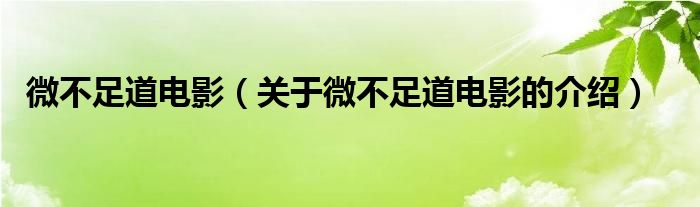 微不足道电影（关于微不足道电影的介绍）