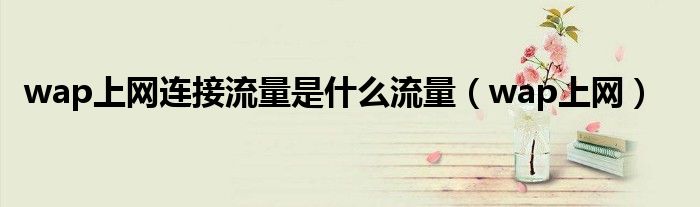 wap上网连接流量是什么流量（wap上网）