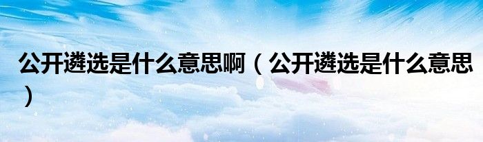 公开遴选是什么意思啊（公开遴选是什么意思）
