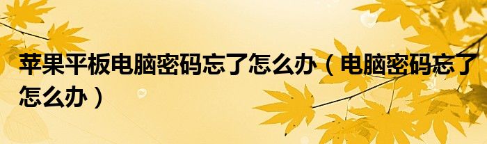 苹果平板电脑密码忘了怎么办（电脑密码忘了怎么办）
